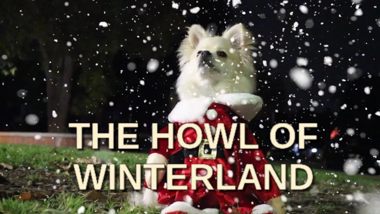 The Howl of Winterland - 剧照