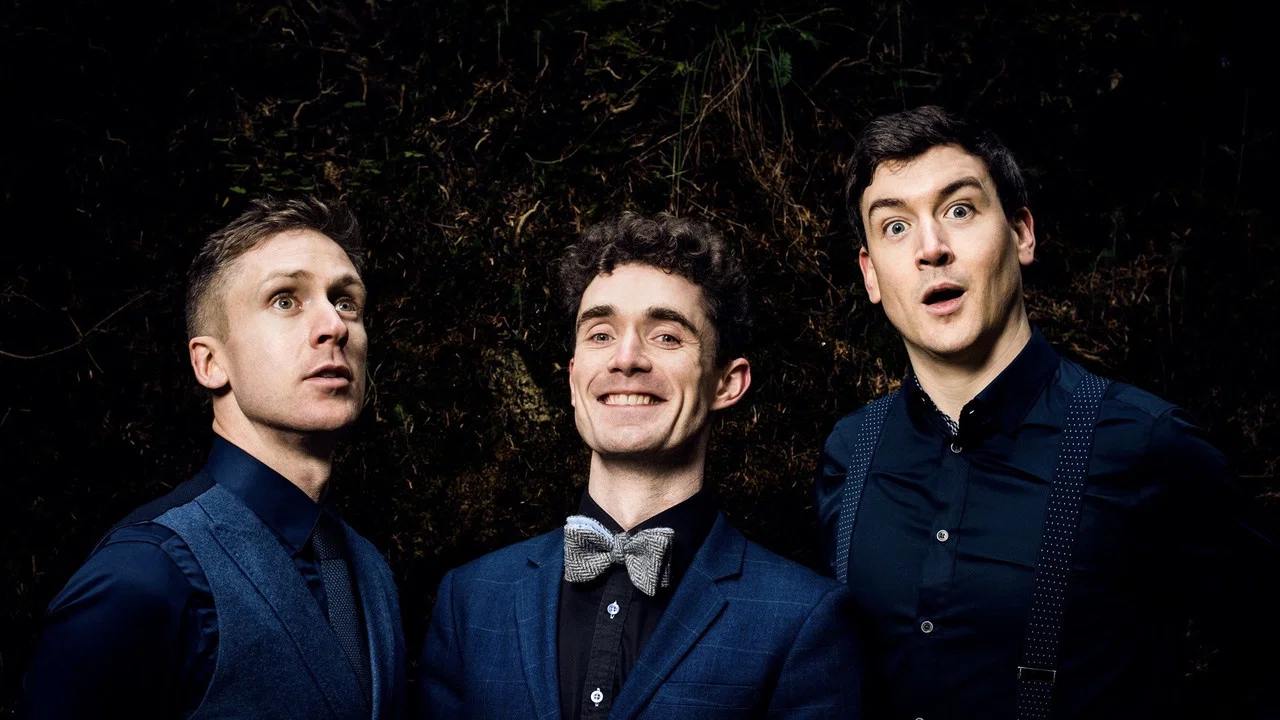 Foil Arms and Hog: Live at Vicar Street - 剧照