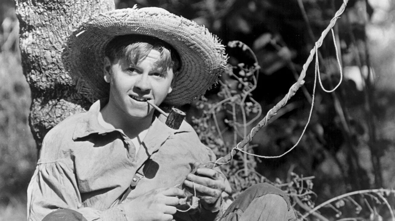 The Adventures of Huckleberry Finn - 剧照
