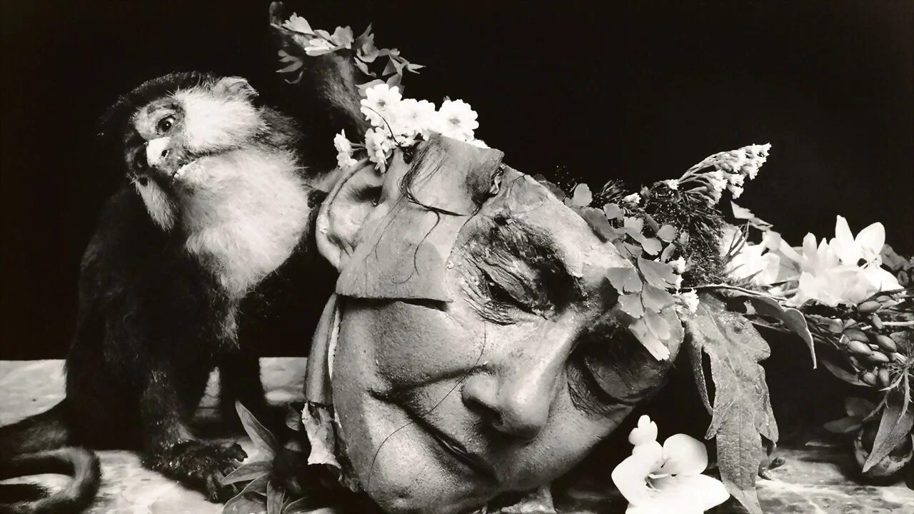 Witkin & Witkin - 剧照