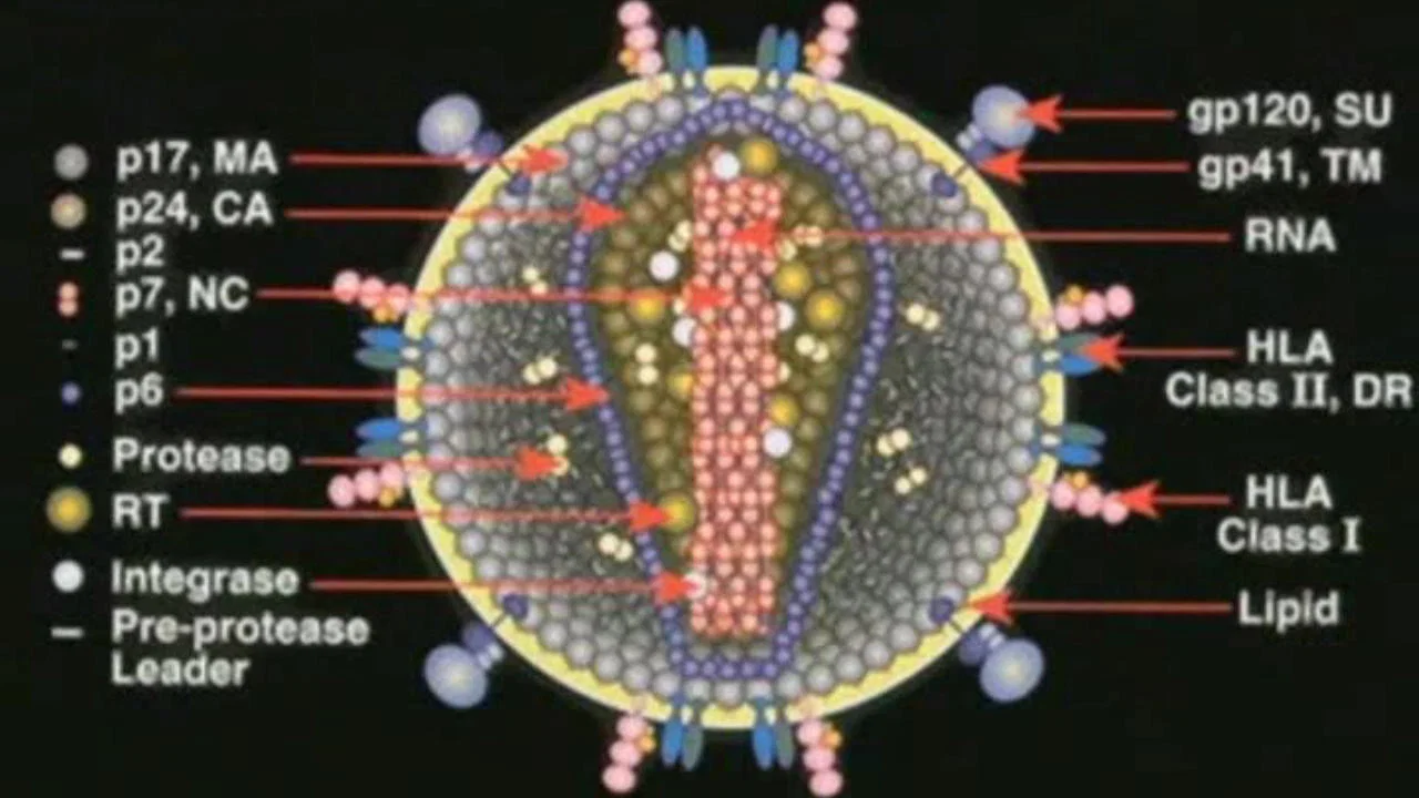 Deconstructing the Myth of Aids - 剧照