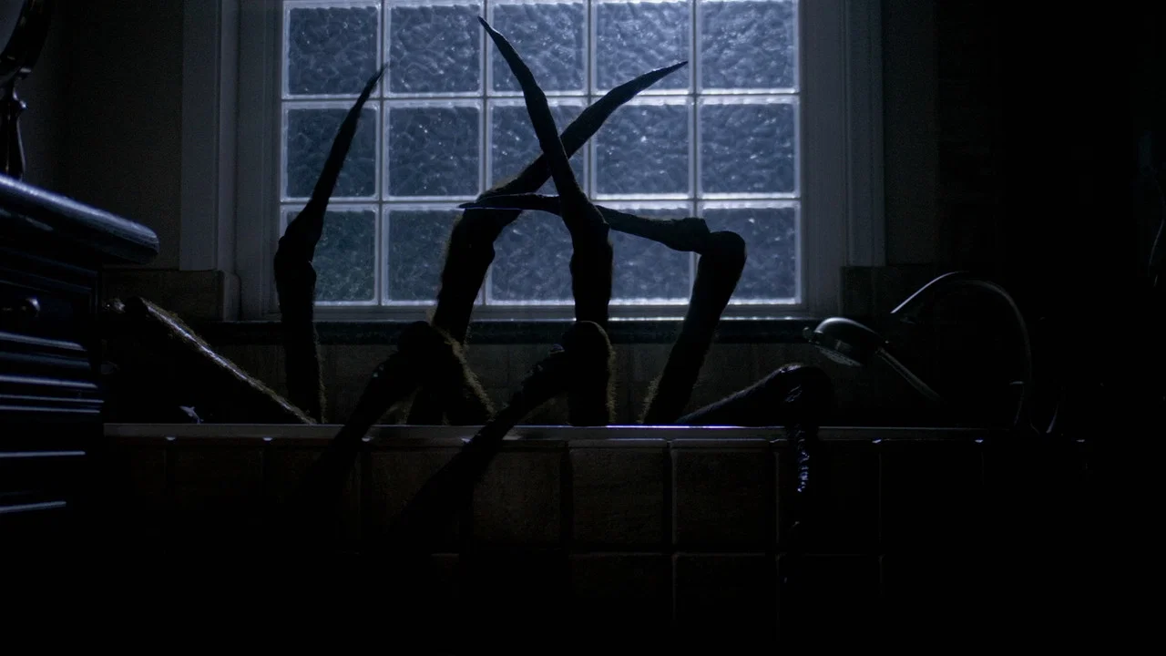 Night Spider - 剧照