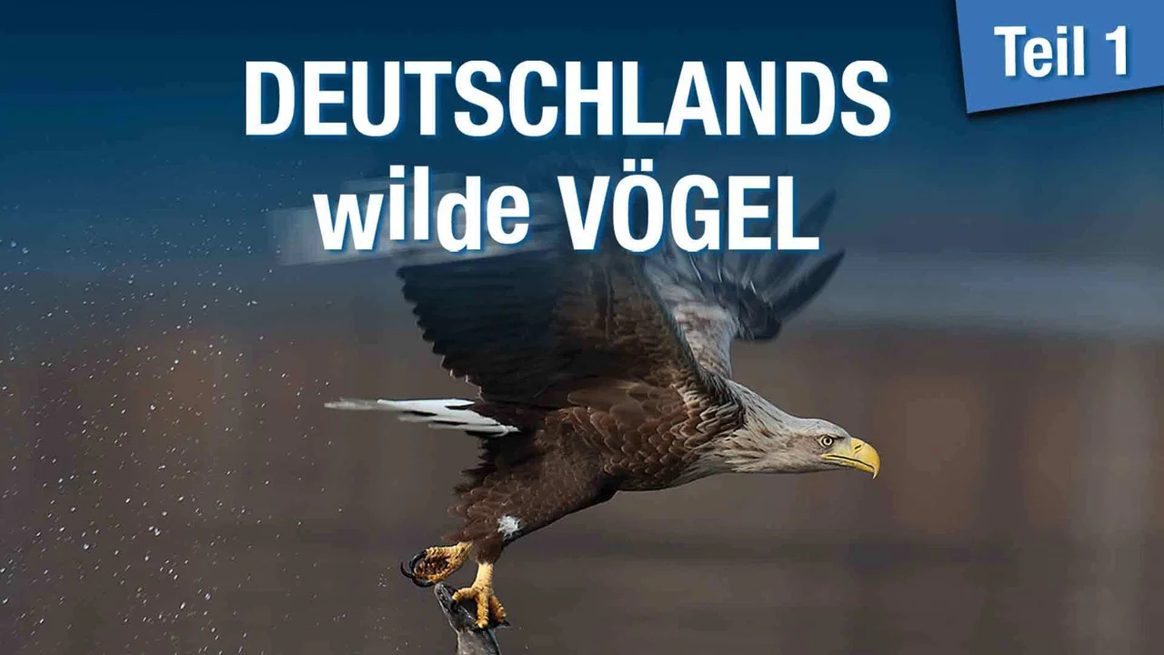 Deutschlands wilde V&ouml;gel - 剧照