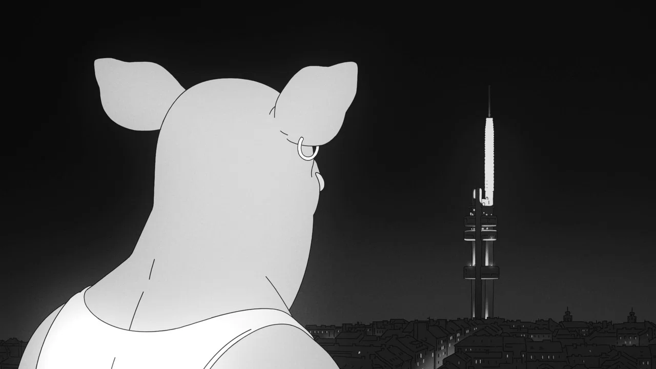 猪事不顺 - 剧照