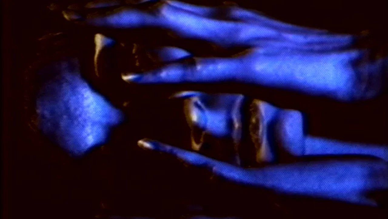 Witness - 剧照
