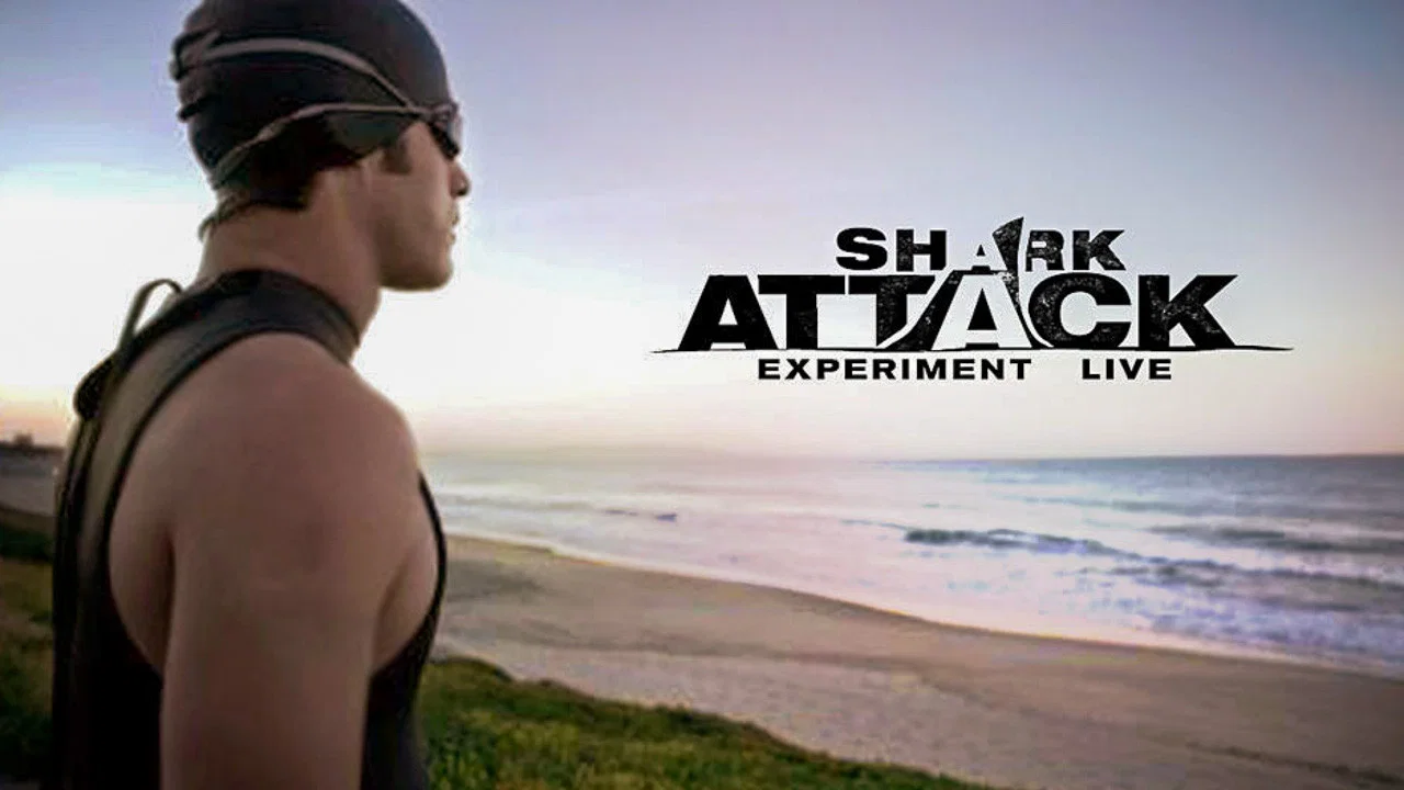 Shark Attack Experiment Live - 剧照