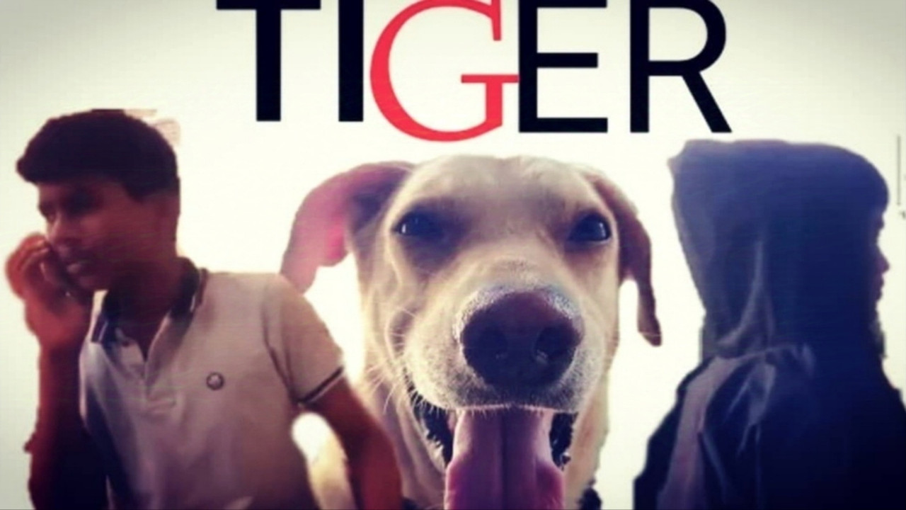 TIGER - 剧照