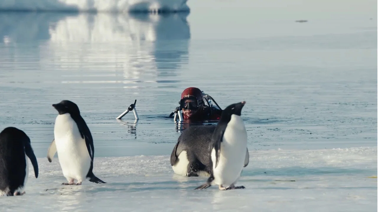 Antarctica, sur les traces de l'empereur - 剧照