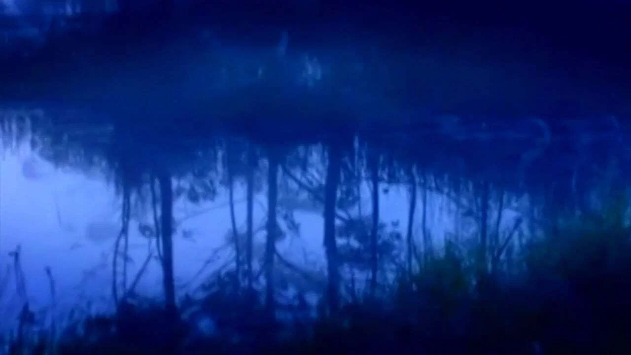 Os Melhores Anos de Nossas Vidas - 剧照