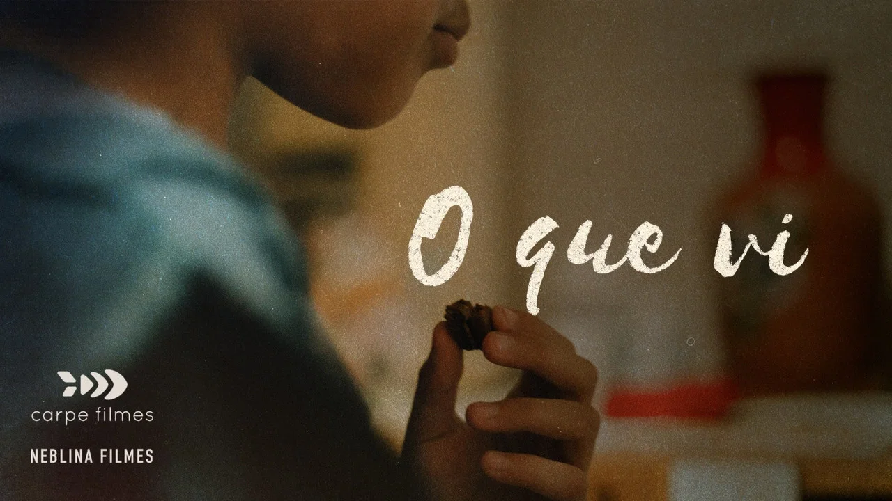 O Que Vi - 剧照