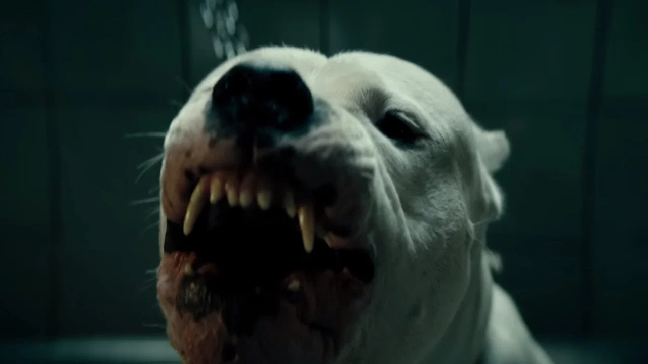 犬舍惊魂 - 剧照