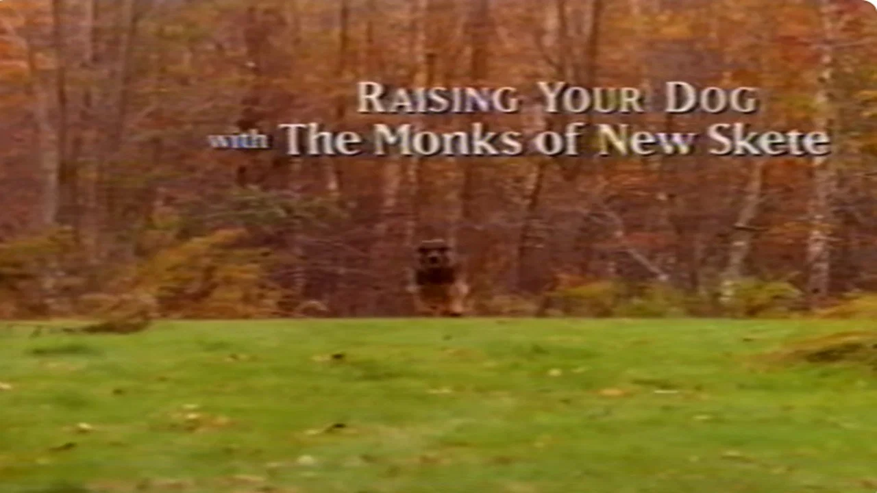 Raising Your Dog with the Monks of New Skete: Obedience - Working With Your Adult Dog - 剧照