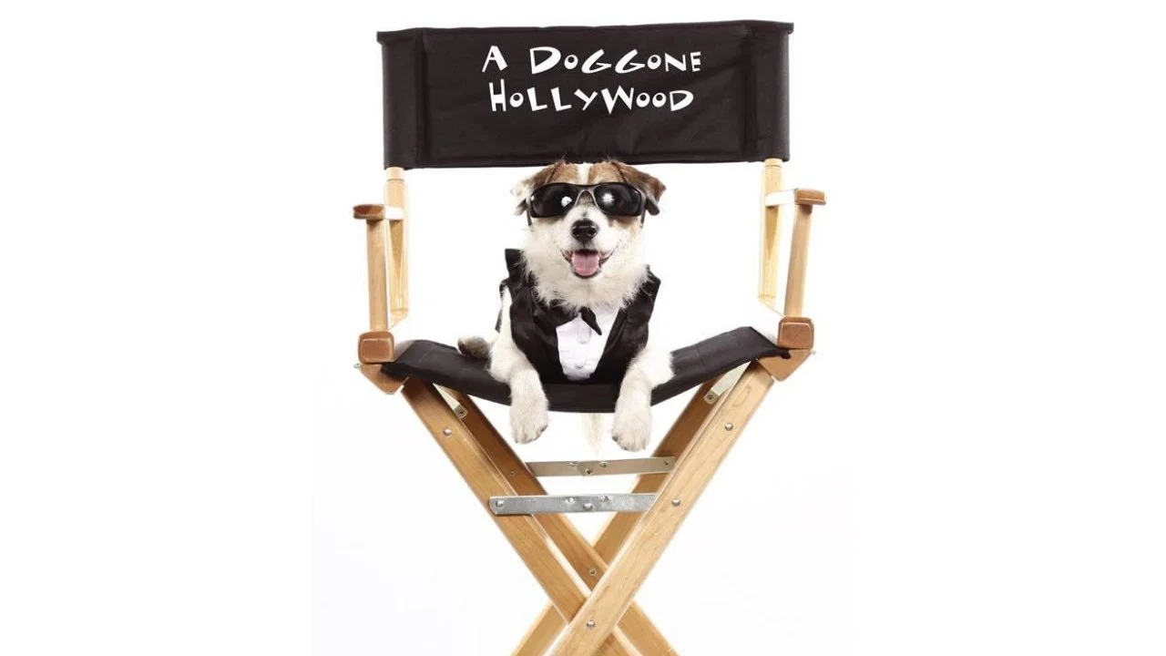 A Doggone Hollywood - 剧照