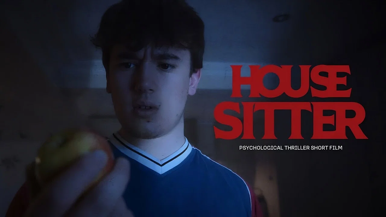 House Sitter - 剧照