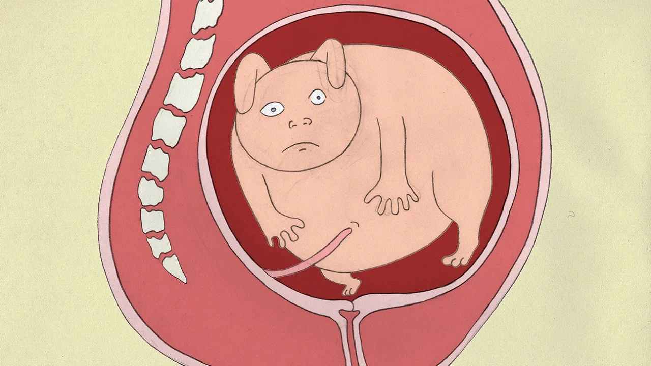 Birth - 剧照