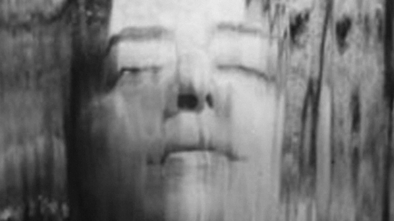 Soft Fiction - 剧照