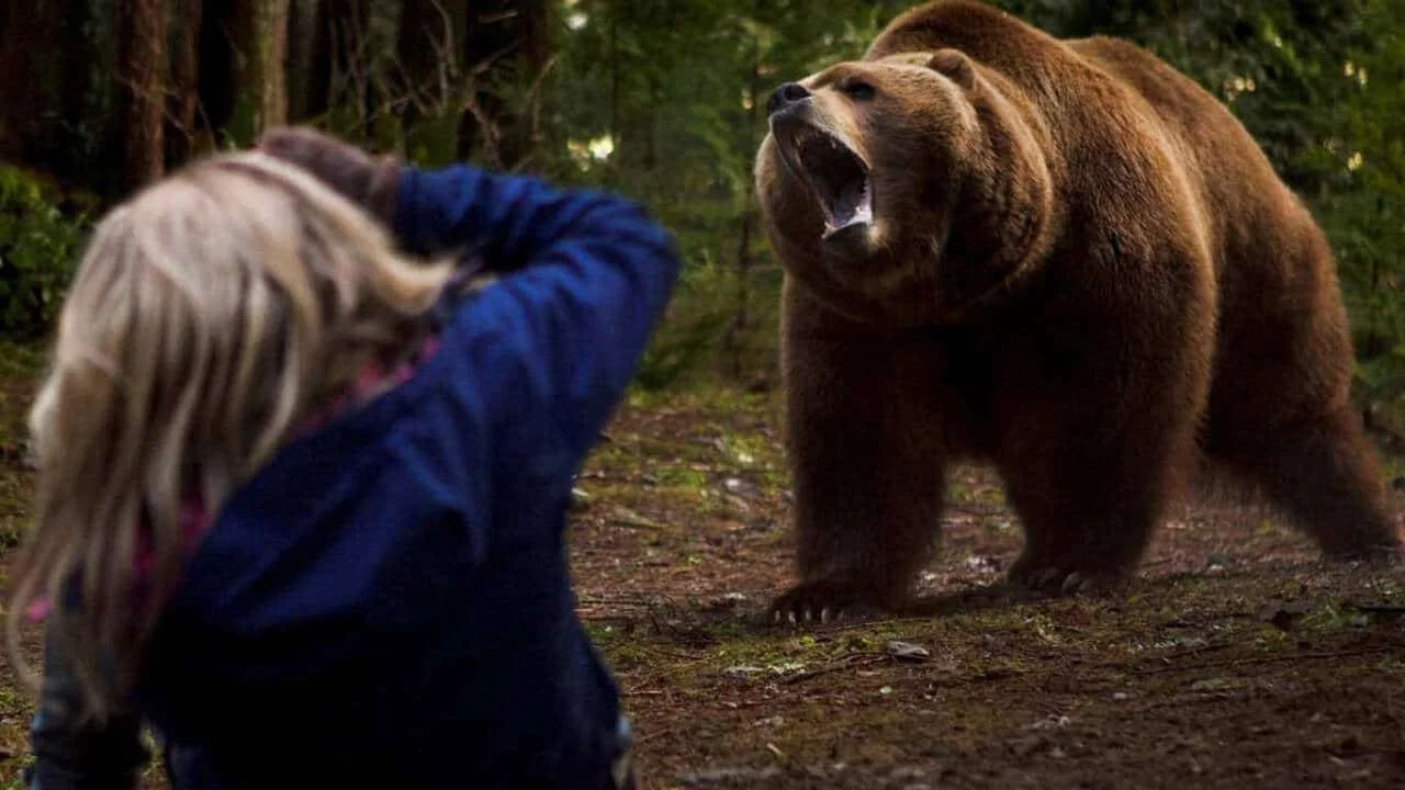 Grizzly Rage - 剧照