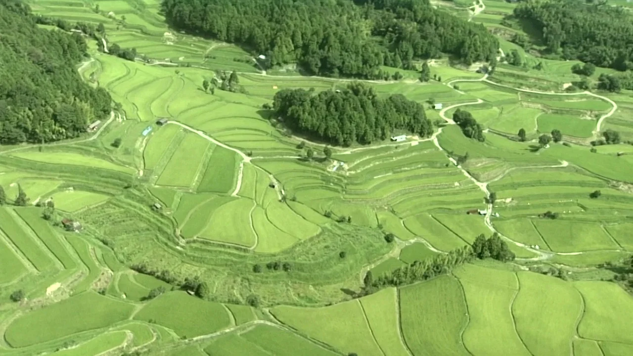 Satoyama I: Japan's Secret Watergarden - 剧照