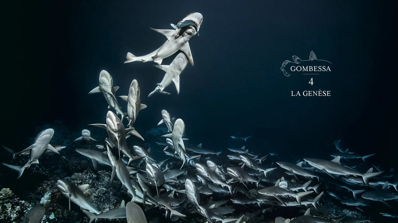 700 requins dans la nuit  (Gombessa 4, la gen&egrave;se) - 剧照