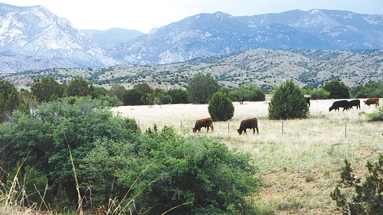 Whose Home on the Range? - 剧照