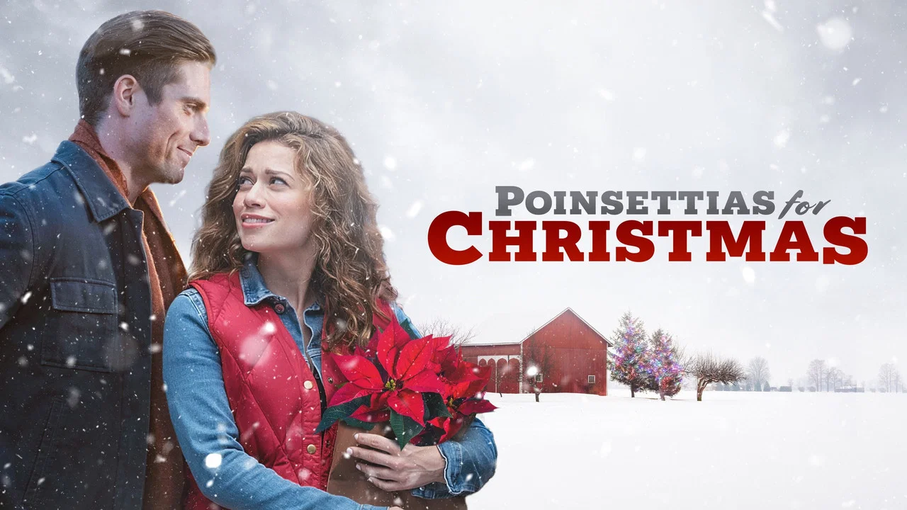 Poinsettias for Christmas - 剧照