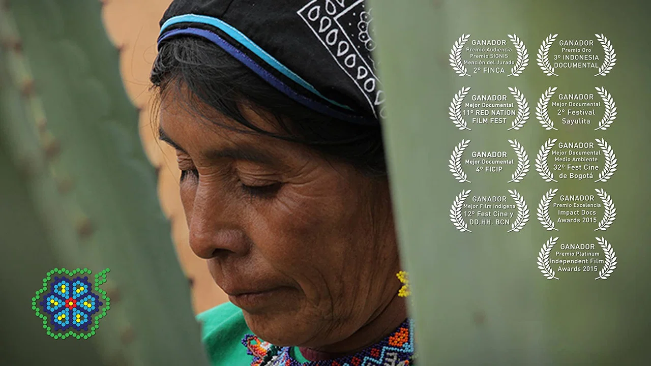 Huicholes: Los &Uacute;ltimos Guardianes del Peyote - 剧照