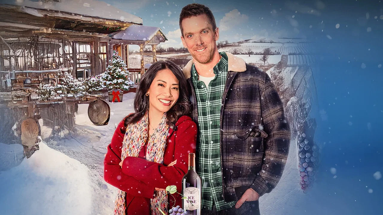 A Vineyard Christmas - 剧照