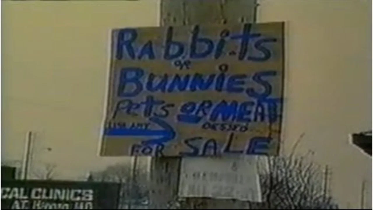 Pets or Meat: The Return to Flint - 剧照