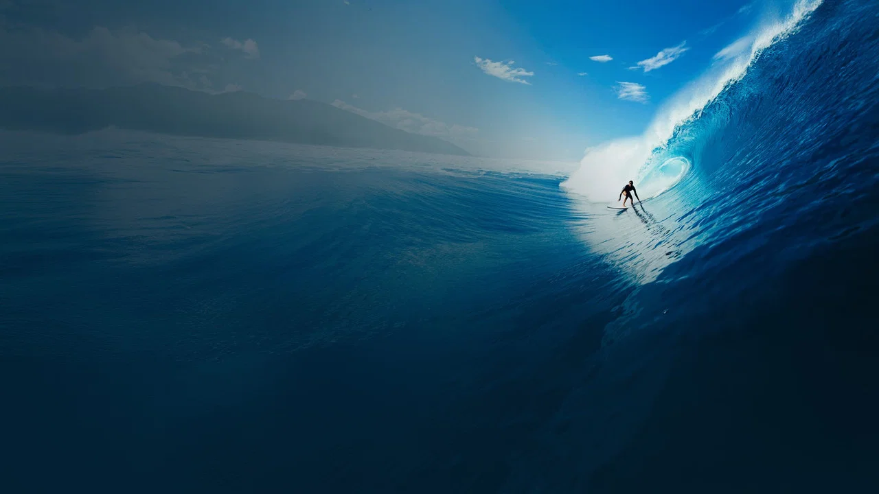 Surf, le feu sacr&eacute; - 剧照