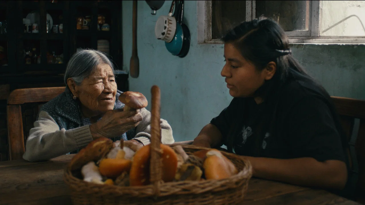 Daughters of the Forest - 剧照