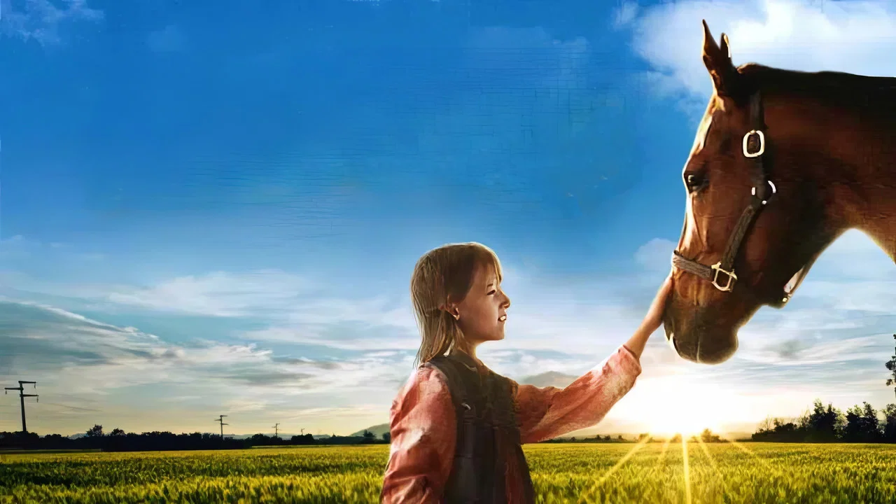 A Horse for Danny - 剧照