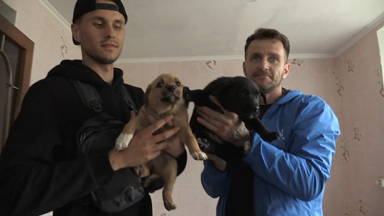犬与战争：我的乌克兰见闻 - 剧照
