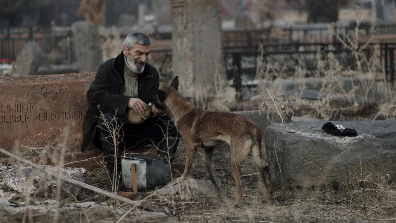 Հիմնավոր մաքրություն - 剧照