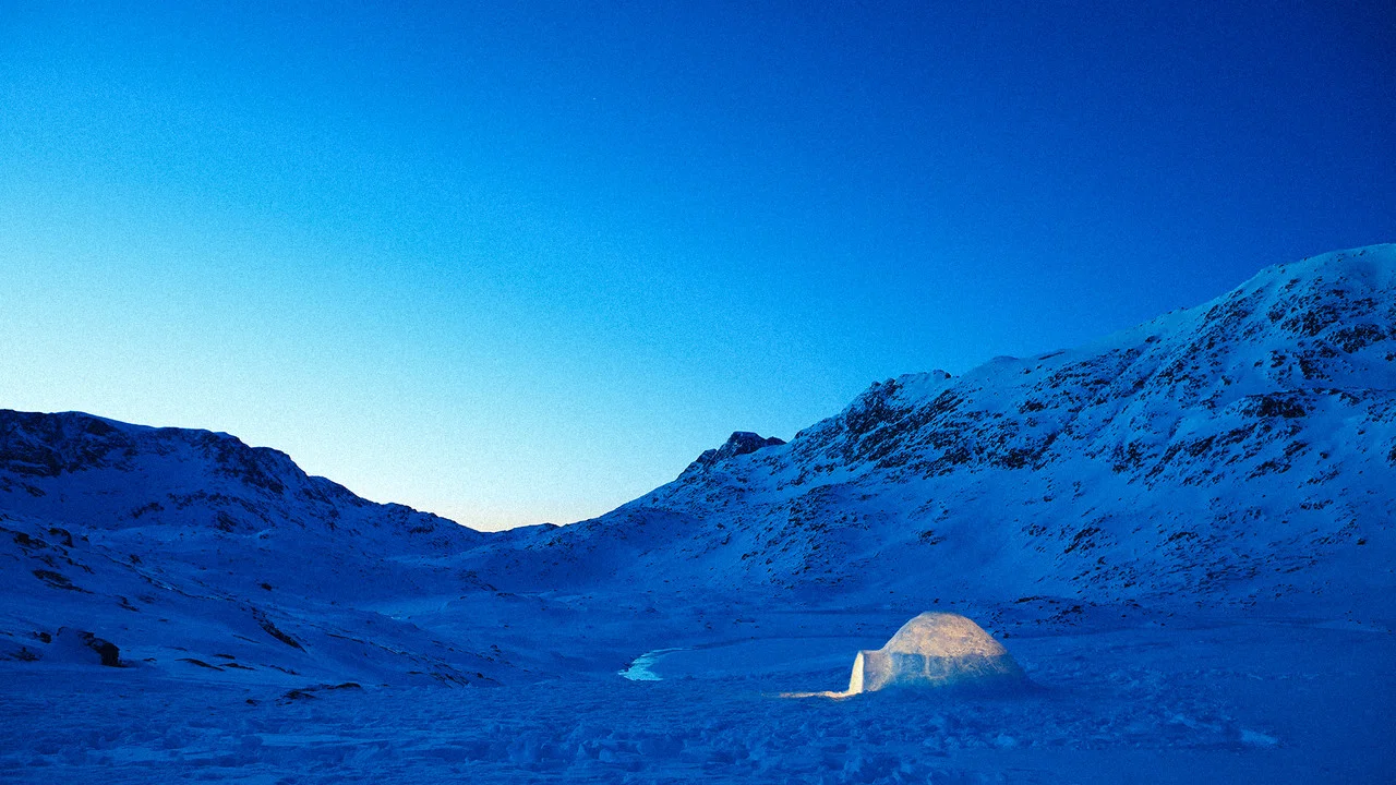 The Last Igloo - 剧照