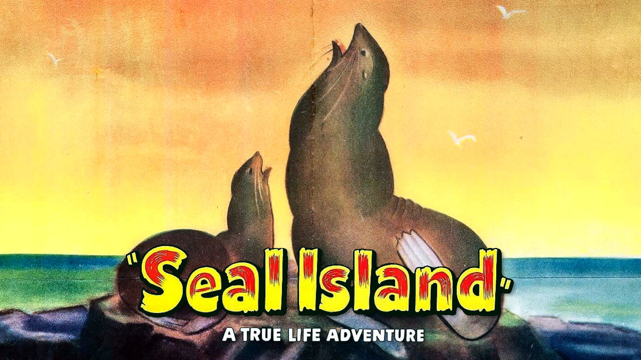 Seal Island - 剧照