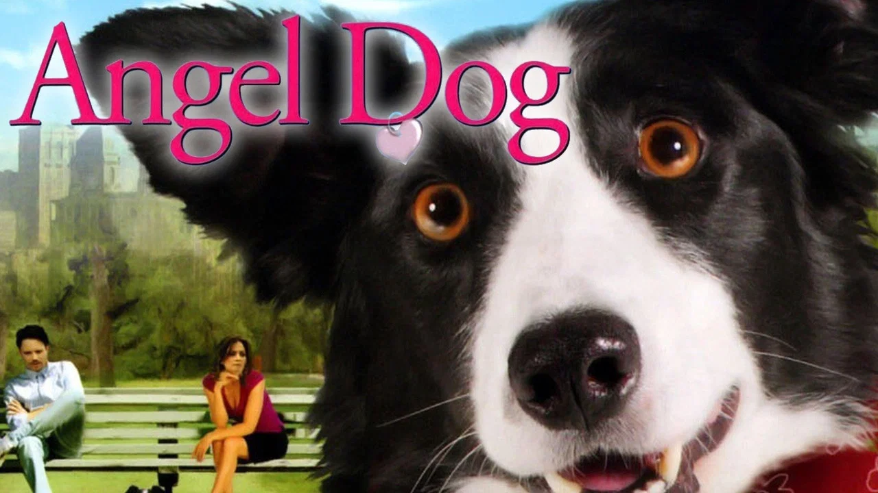 Angel Dog - 剧照