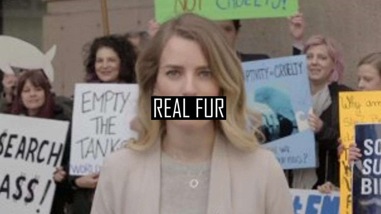 Real Fur - 剧照