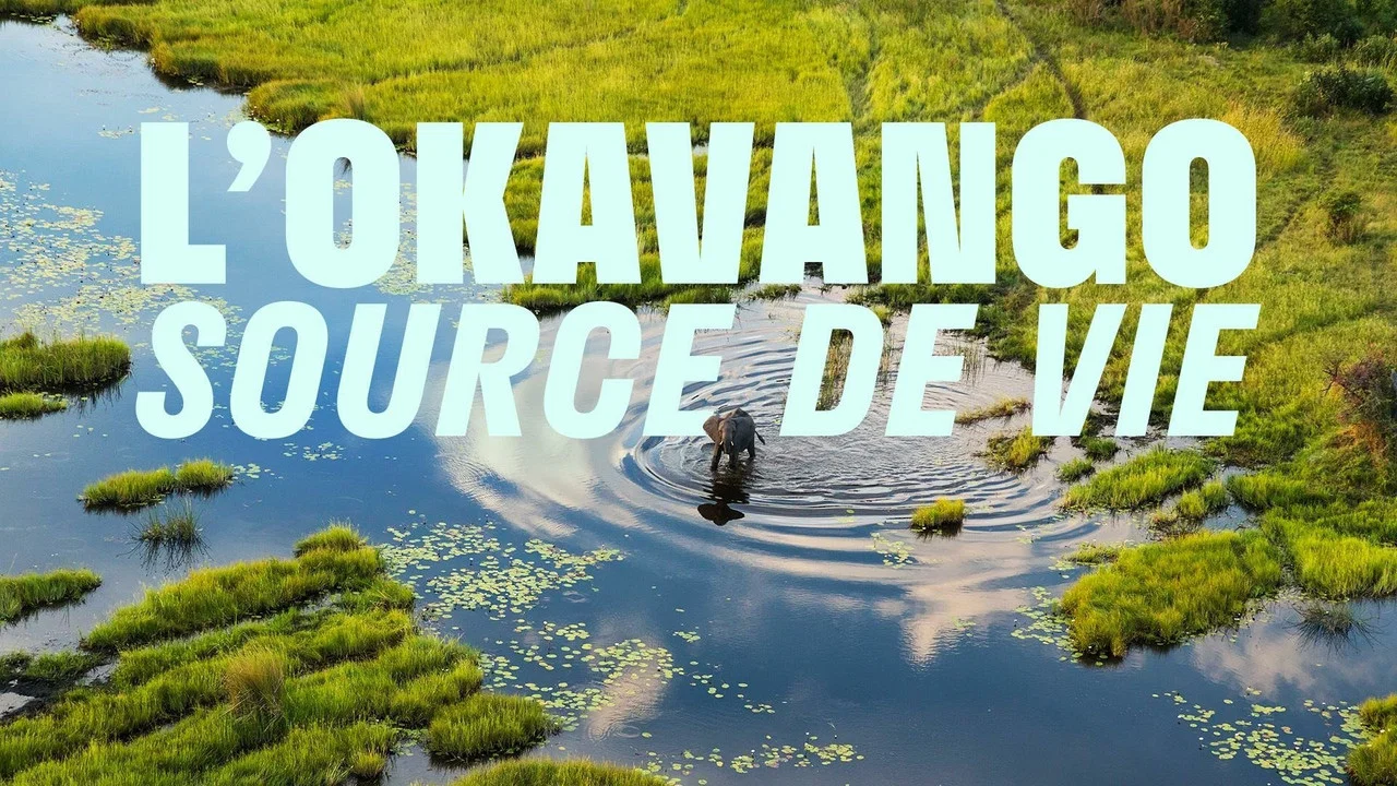 Okavango: A Flood of Life - 剧照