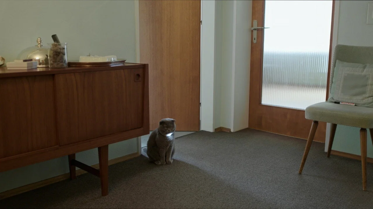 Nachts sind alle Katzen grau - 剧照