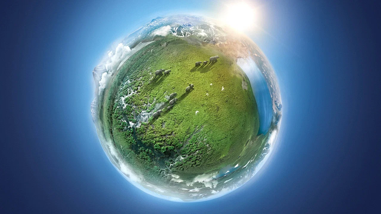 Plan&egrave;te Terre II - 剧照