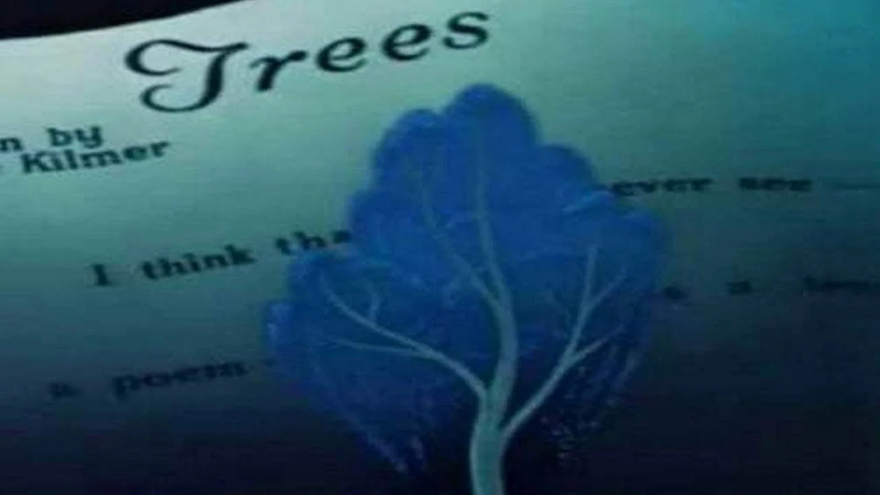 Trees - 剧照
