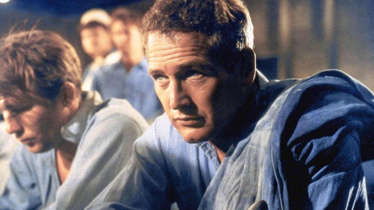 Paul Newman, l'intranquille - 剧照