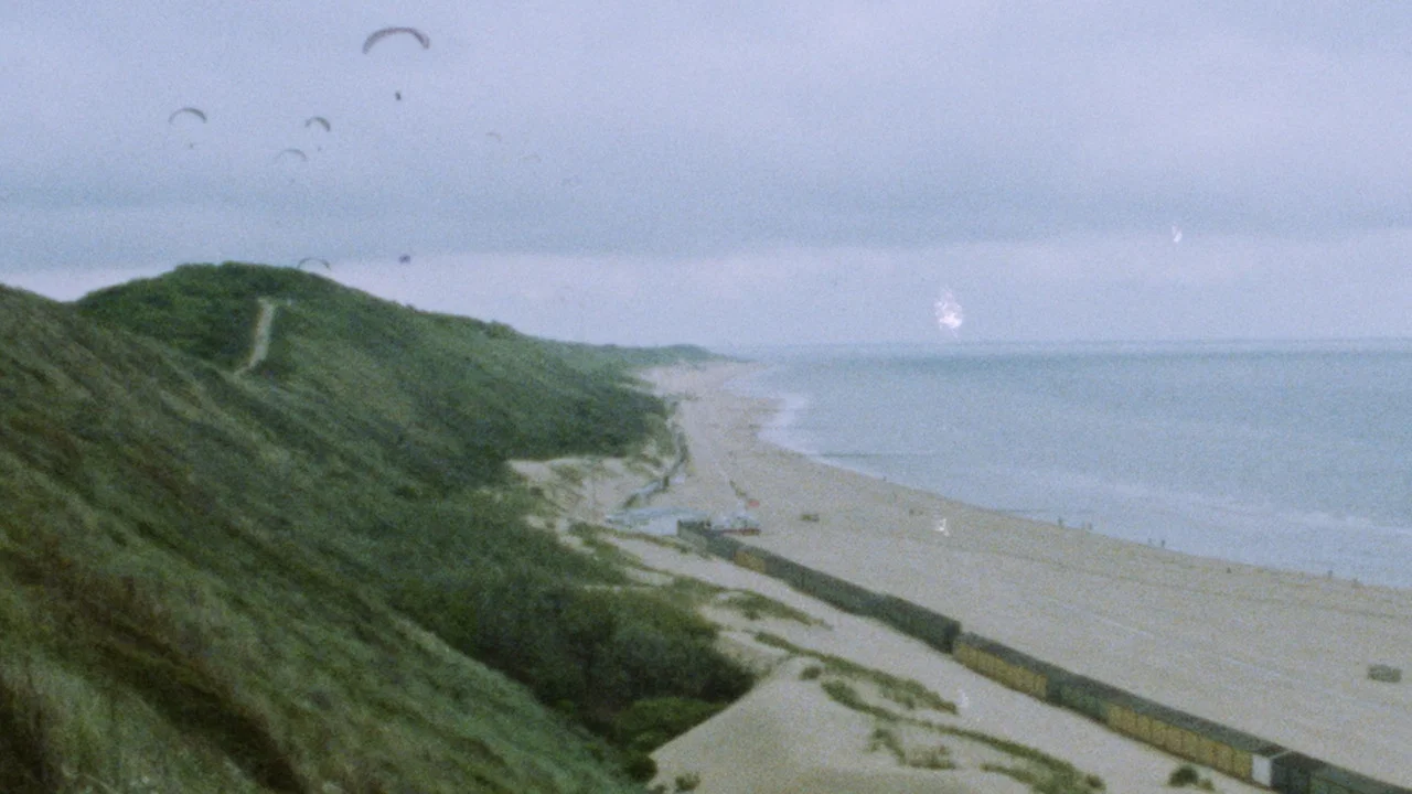 Seen From Here, I Feel Like Belonging - 剧照