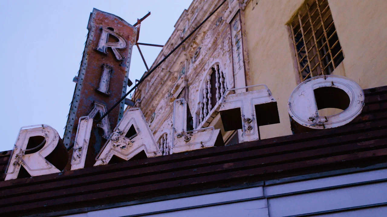 Going Attractions: The Definitive Story of the Movie Palace - 剧照