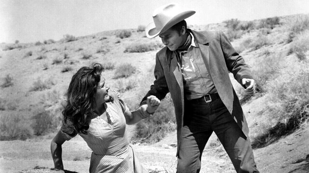 猛虎神枪 - 剧照
