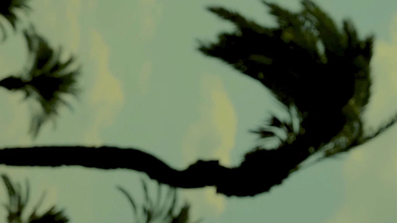 State of Matter - 剧照