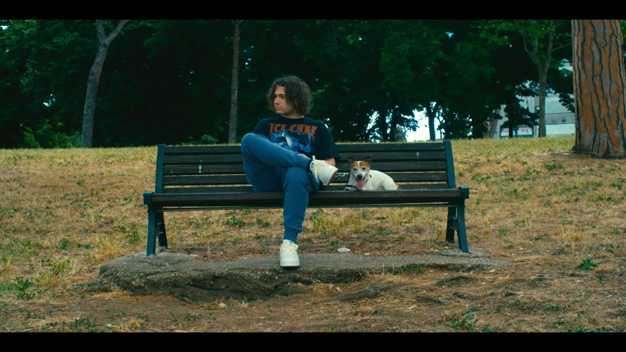 Abbaiare non &egrave; soltanto una cosa da cani. - 剧照