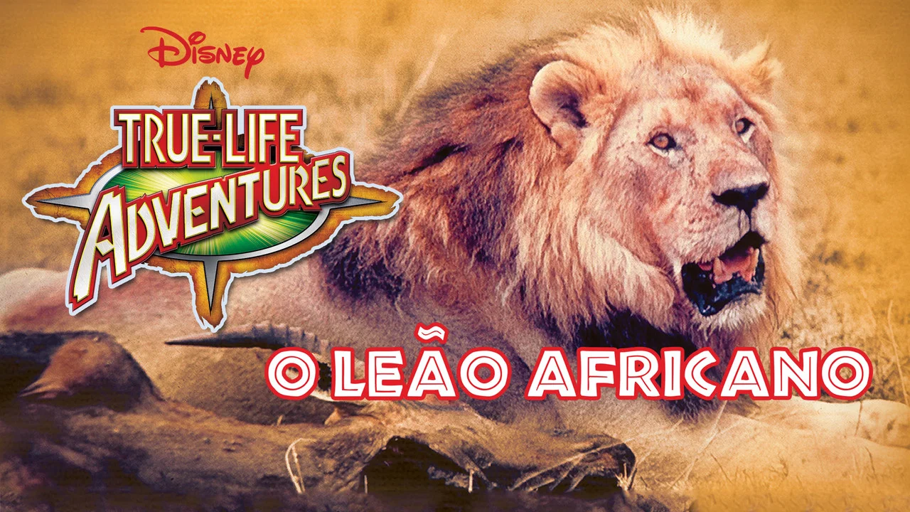 The African Lion - 剧照