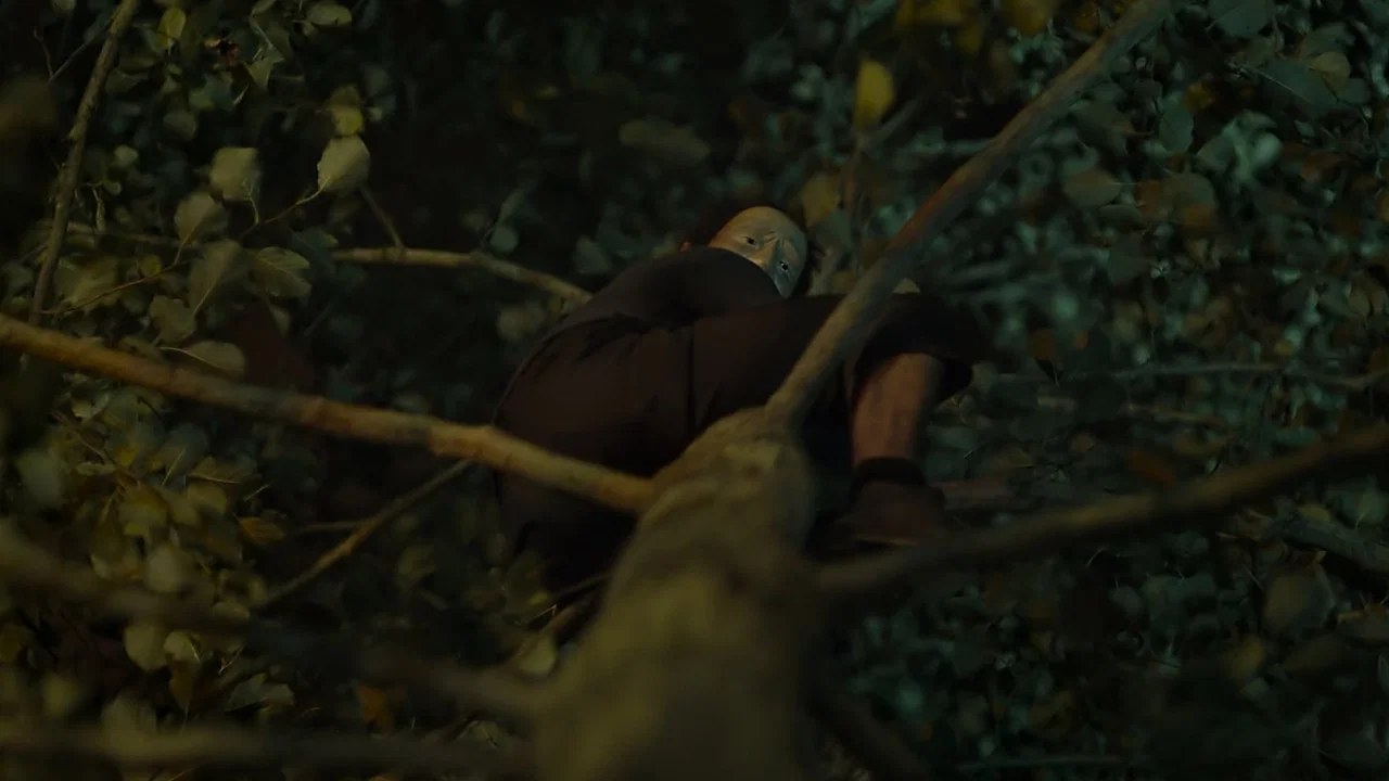 The Fall - 剧照