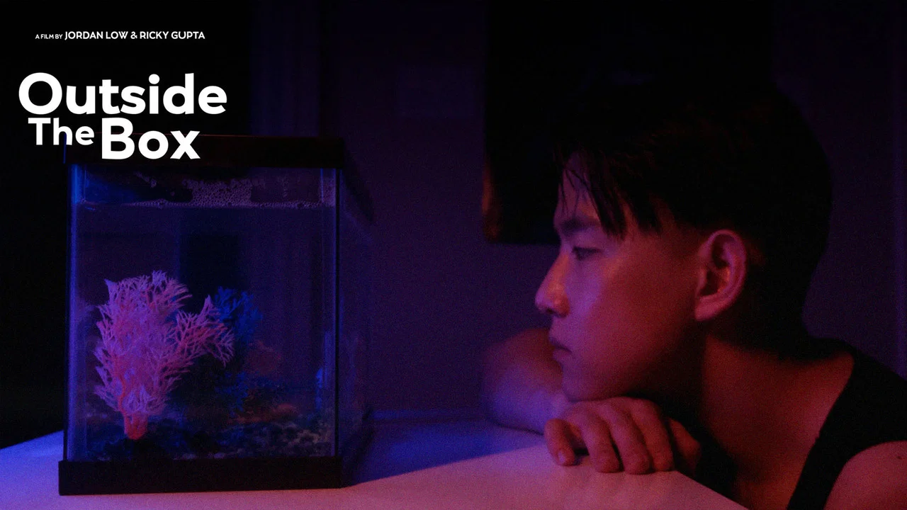 Outside The Box - Short - 剧照